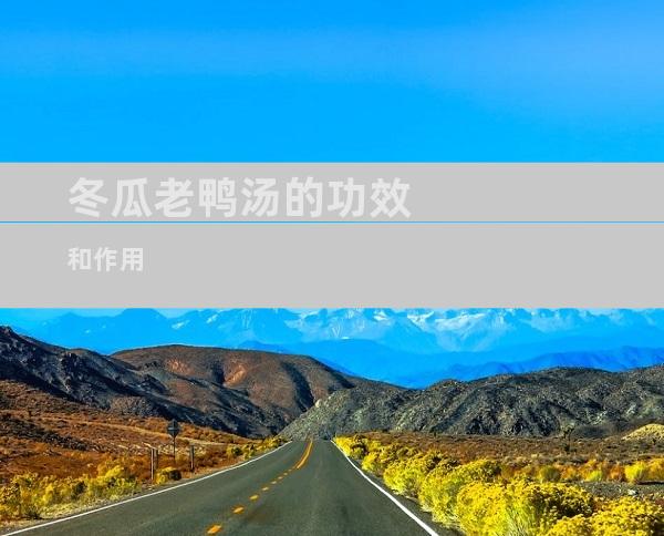 冬瓜老鸭汤的功效和作用