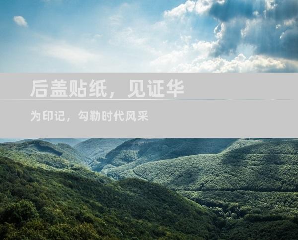 后盖贴纸，见证华为印记，勾勒时代风采