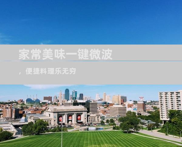 家常美味一键微波，便捷料理乐无穷