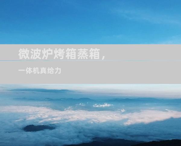 微波炉烤箱蒸箱，一体机真给力