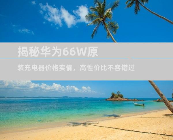 揭秘华为66W原装充电器价格实情，高性价比不容错过