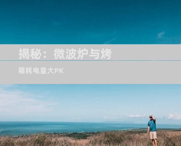 揭秘：微波炉与烤箱耗电量大PK