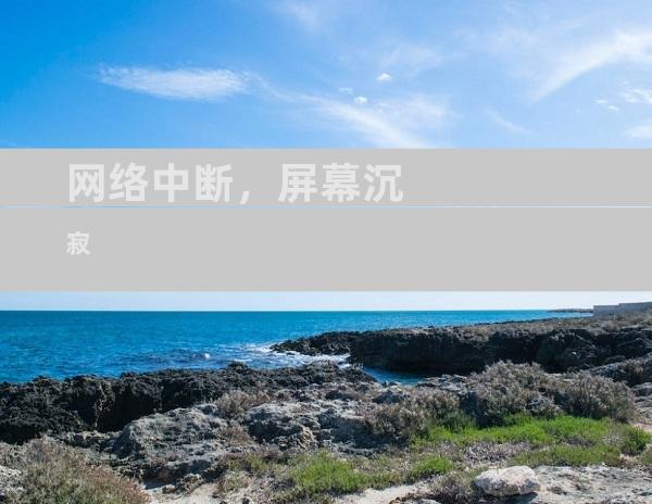网络中断，屏幕沉寂