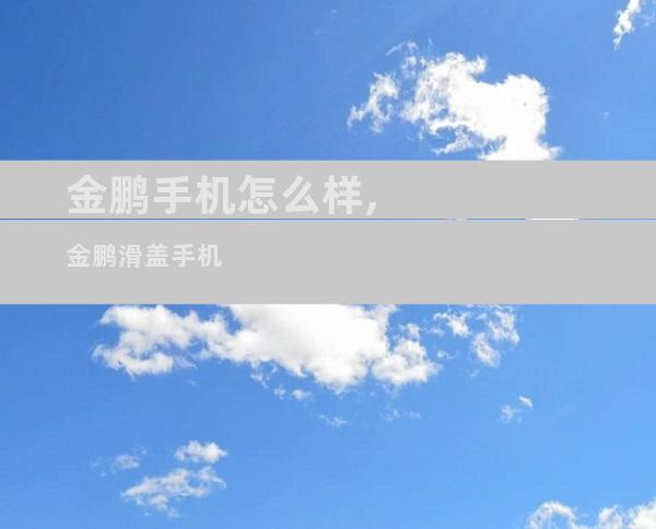 金鹏手机怎么样,金鹏滑盖手机