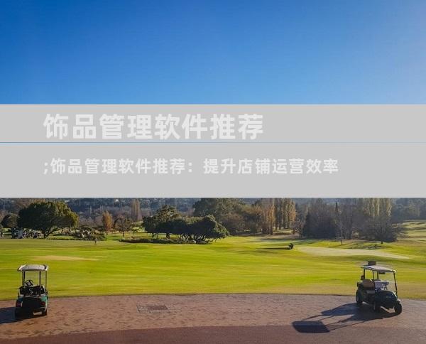 饰品管理软件推荐;饰品管理软件推荐：提升店铺运营效率