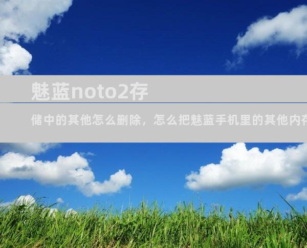 魅蓝noto2存储中的其他怎么删除，怎么把魅蓝手机里的其他内存删除占用空间太大了